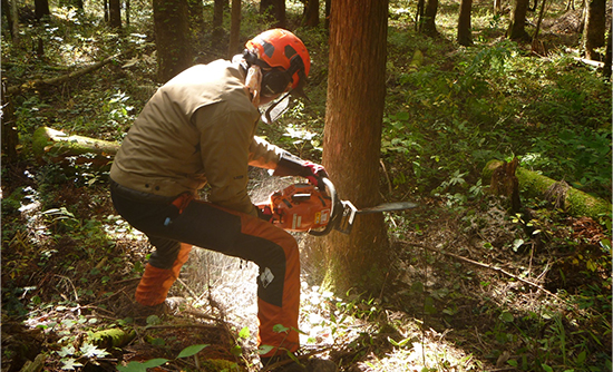 就業希望者の方へ